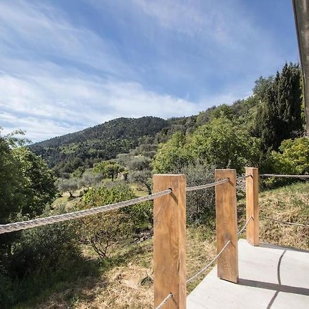 Bas De Villa Au Milieu Des Oliviers. Chateauneuf-Villevieille Eksteriør billede