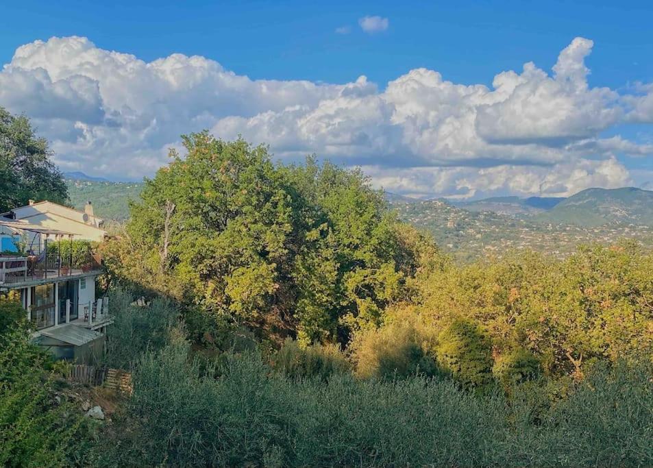 Bas De Villa Au Milieu Des Oliviers. Chateauneuf-Villevieille Eksteriør billede