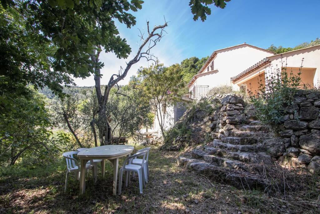 Bas De Villa Au Milieu Des Oliviers. Chateauneuf-Villevieille Eksteriør billede